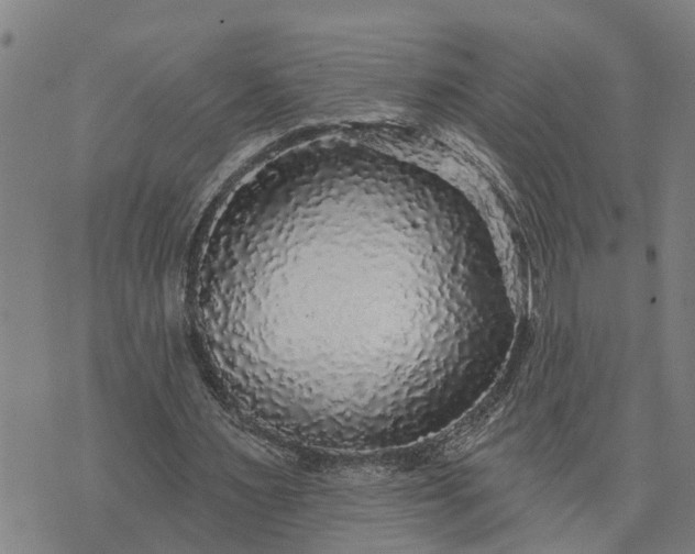 X0000076080483200610061620