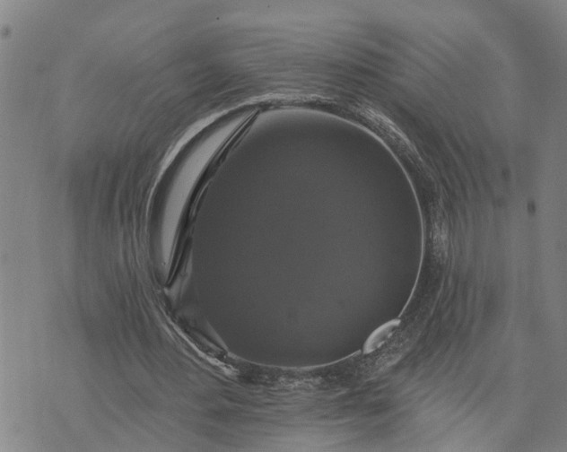 X0000076080484200610061620