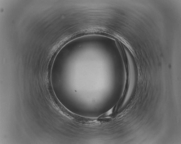 X0000076080485200610061620