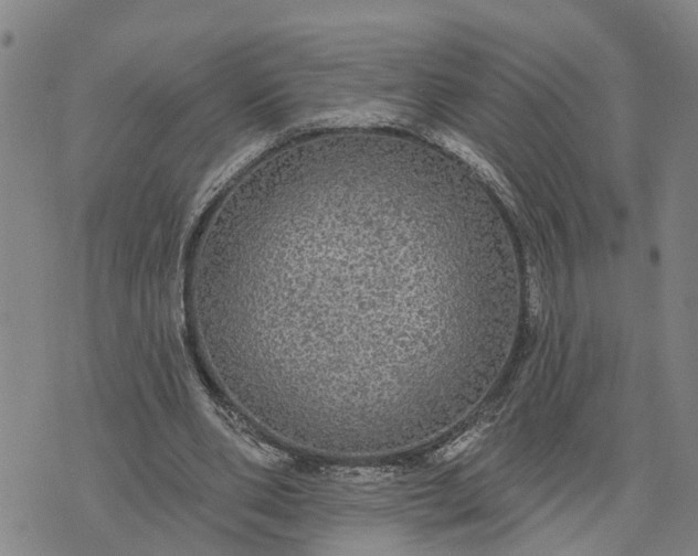 X0000076080486200610061620