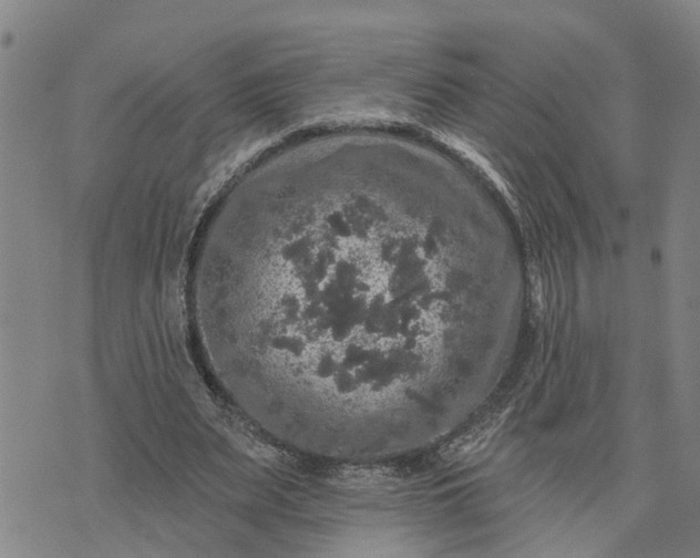 X0000076080487200610061620