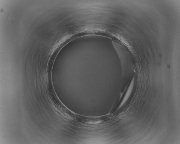 X0000076080488200610061620