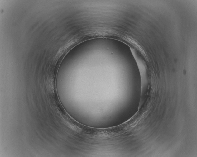 X0000076080489200610061620