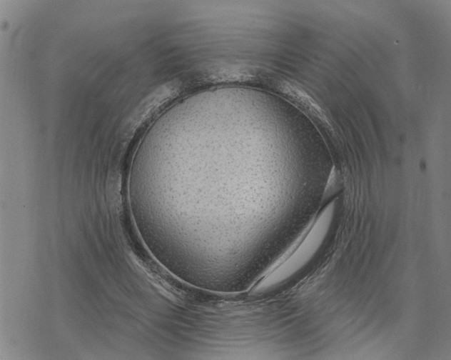 X0000076080490200610061620