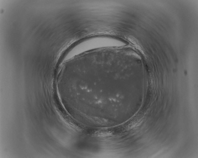 X0000076080491200610061620