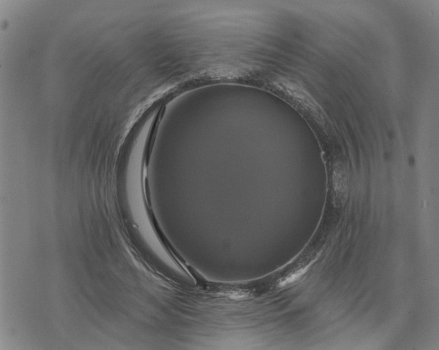 X0000076080492200610061620