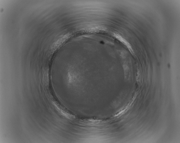 X0000076080493200610061620