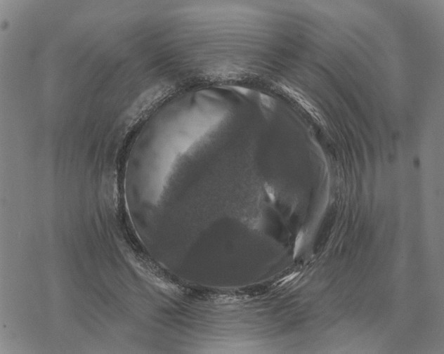 X0000076080494200610061619