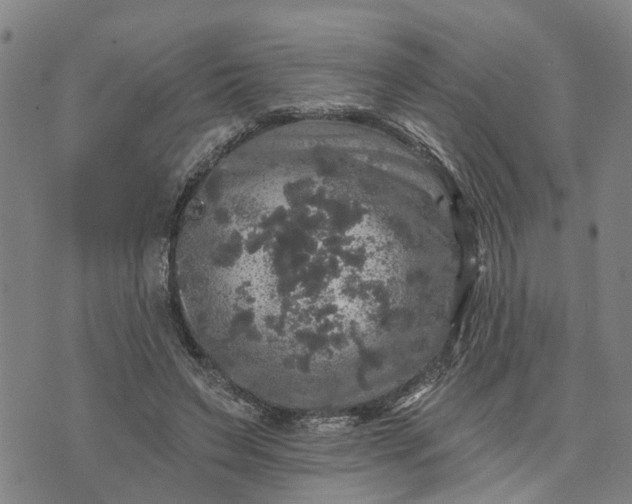 X0000076080495200610061619