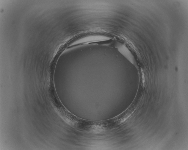 X0000076080496200610061619