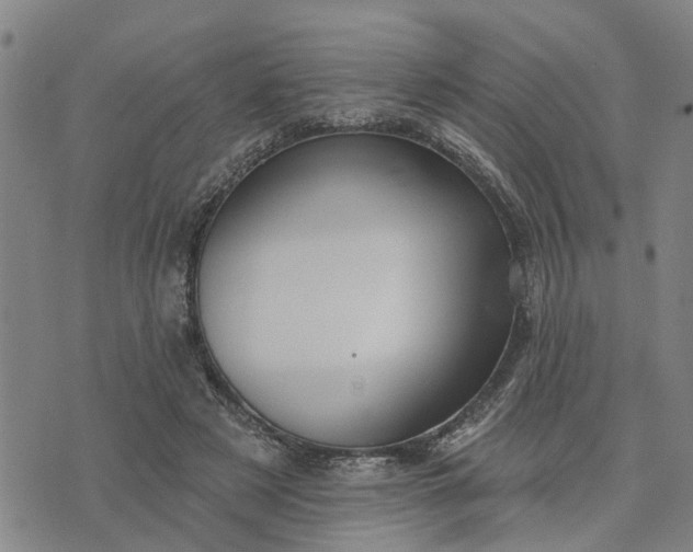 X0000076080497200610061619