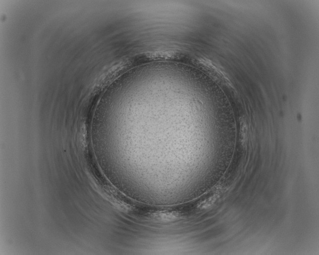 X0000076080498200610061619