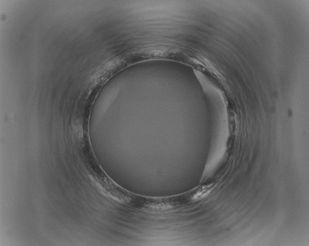 X0000076080500200610061619