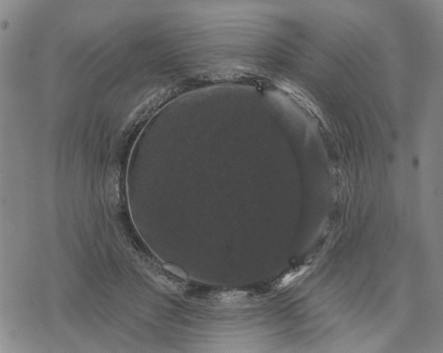 X0000076080501200610061619