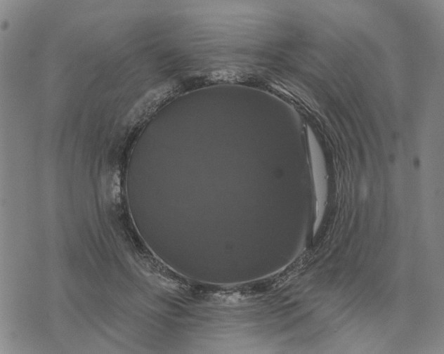 X0000076080502200610061619