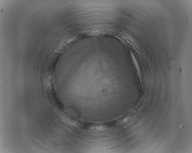 X0000076080503200610061619