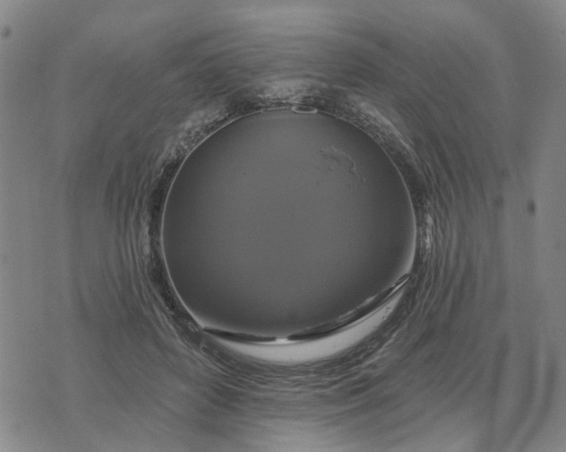 X0000076080504200610061619