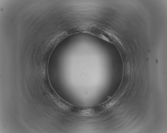 X0000076080505200610061619