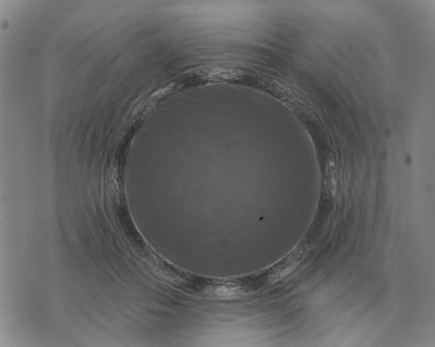 X0000076080506200610061619