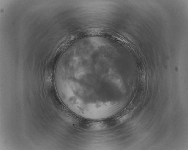 X0000076080507200610061619