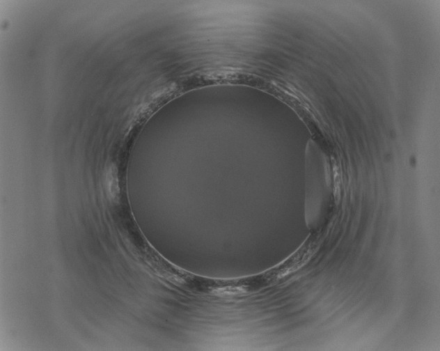 X0000076080508200610061619