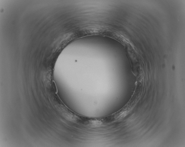 X0000076080509200610061619