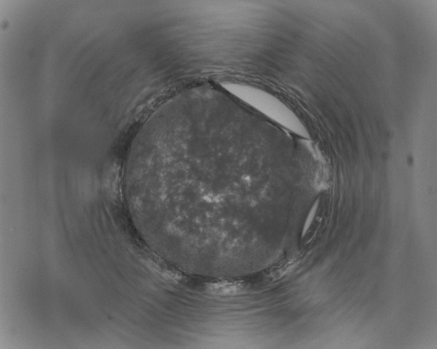 X0000076080511200610061619