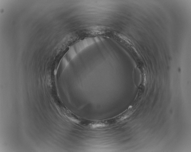 X0000076080512200610061619