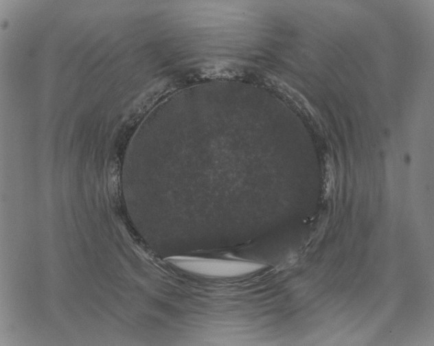 X0000076080513200610061619