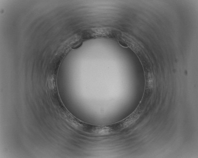 X0000076080514200610061619