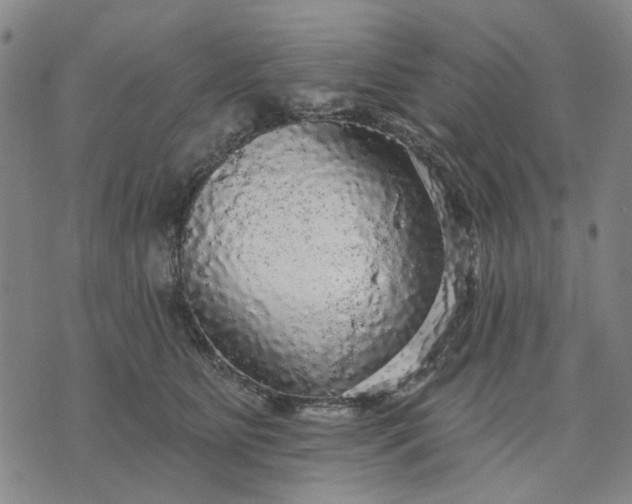 X0000076080515200610061619