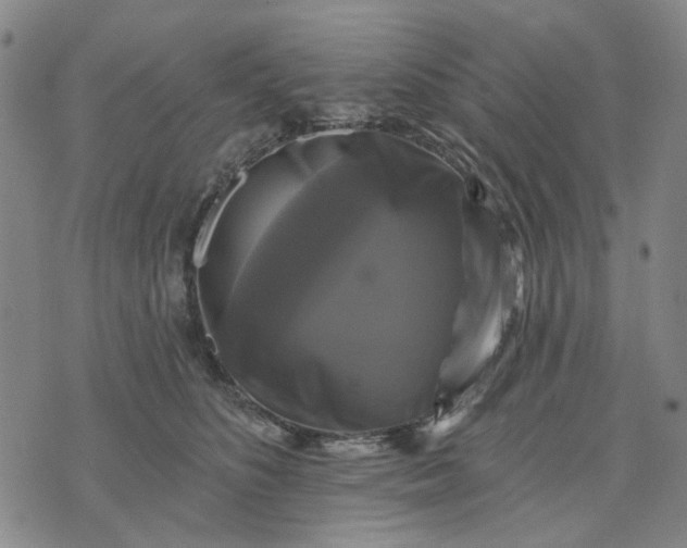 X0000076080516200610061619