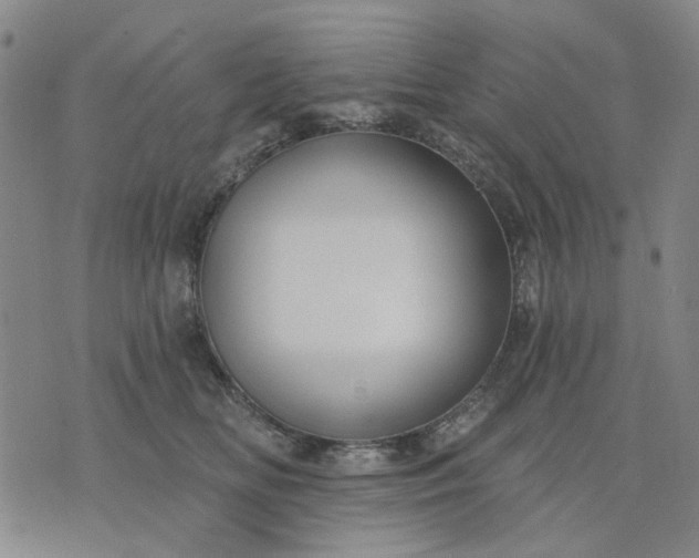 X0000076080518200610061619