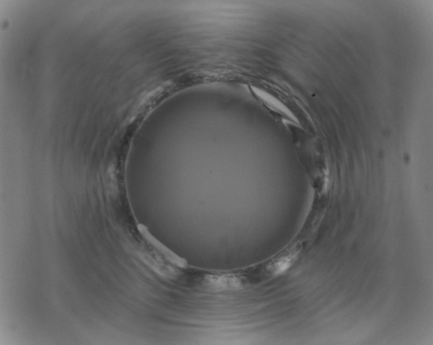 X0000076080520200610061619