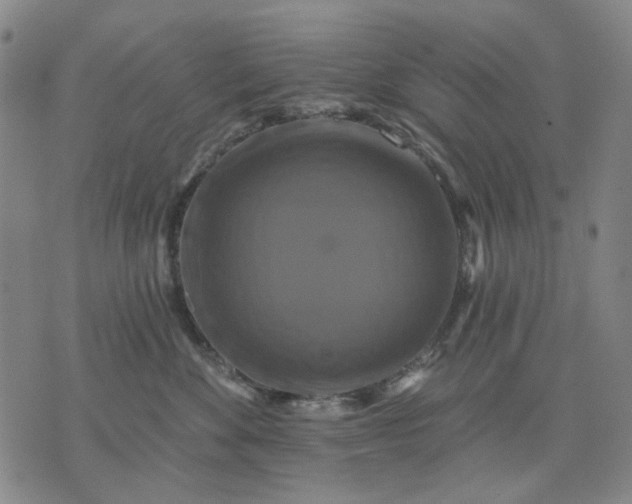 X0000076080524200610061619