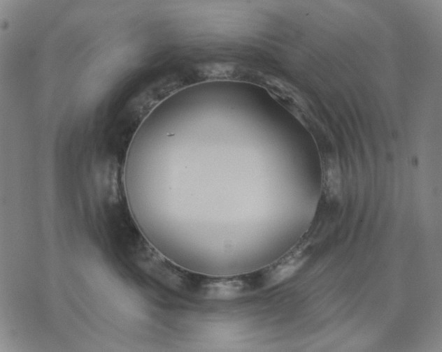 X0000076080525200610061619