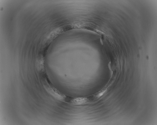 X0000076080526200610061619