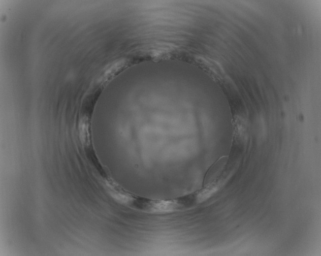 X0000076080527200610061619