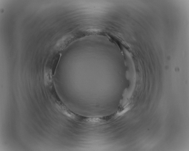 X0000076080528200610061619