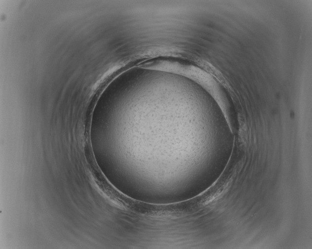 X0000076080530200610061618