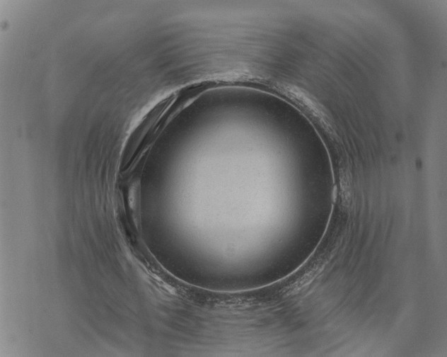 X0000076080532200610061618