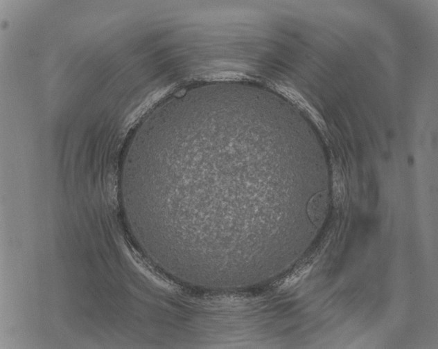 X0000076080533200610061618