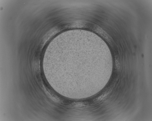 X0000076080534200610061618