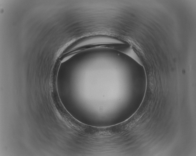 X0000076080536200610061618