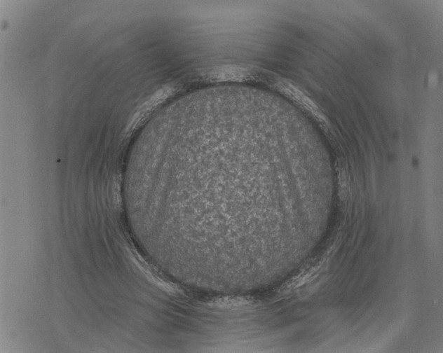 X0000076080537200610061618