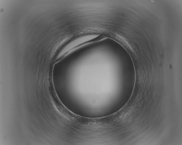 X0000076080538200610061618