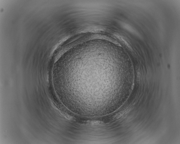 X0000076080539200610061618