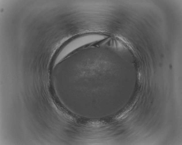 X0000076080540200610061618