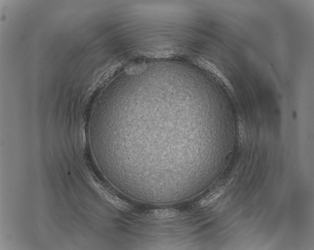 X0000076080541200610061618