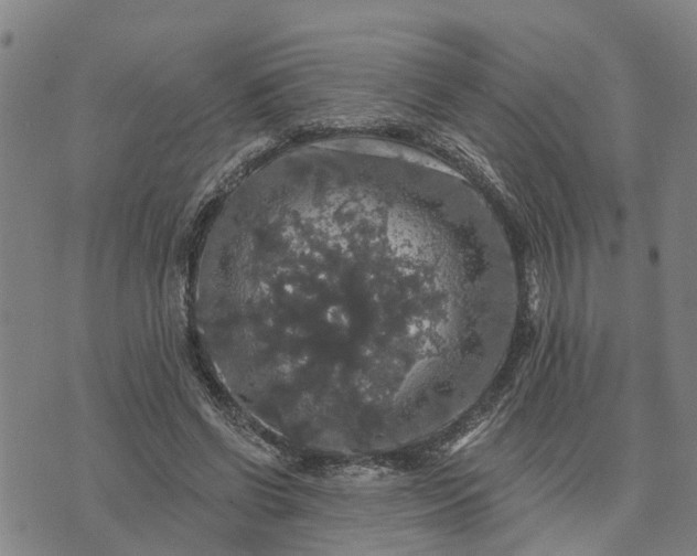 X0000076080542200610061618